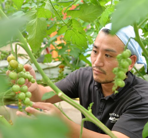 “COCO TOMATO”への想い