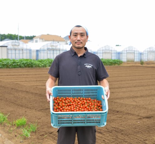 “COCO TOMATO”への想い