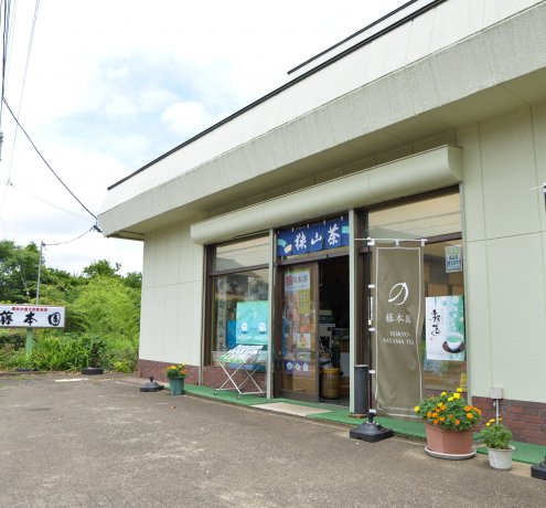 急須で入れる美味しいお茶