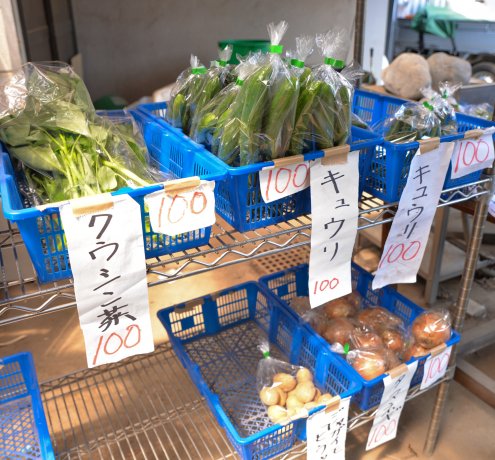 農地の多面的活用