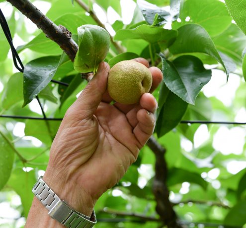 リスペクトを持って農業を