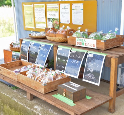 新事業「ファームパーク夢畑」に携わり