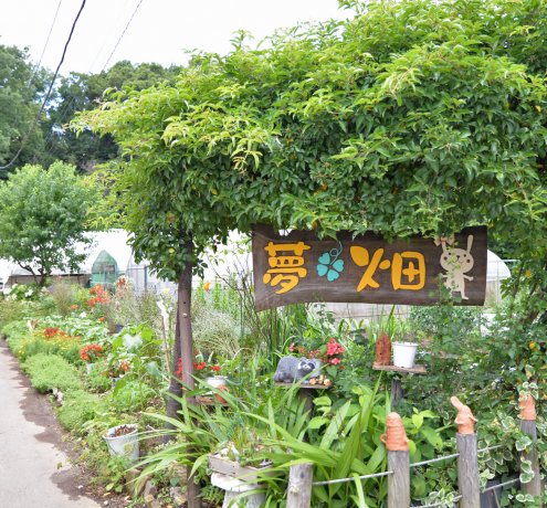 新事業「ファームパーク夢畑」に携わり