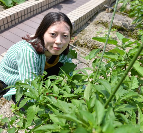 手ぶらで畑体験！　都心で気軽に土いじり