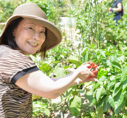 屋上菜園には珍しい40cmの深さがある土