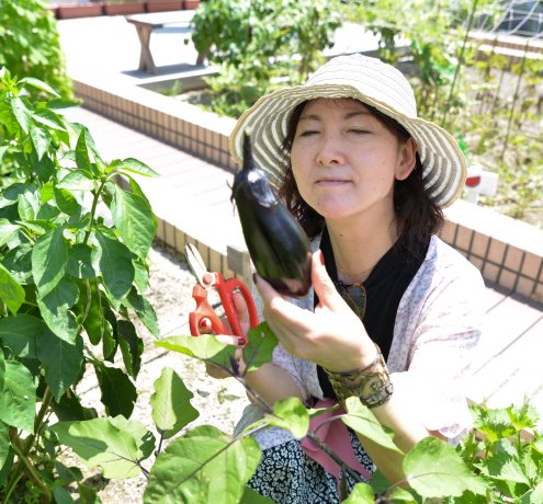 屋上菜園には珍しい40cmの深さがある土