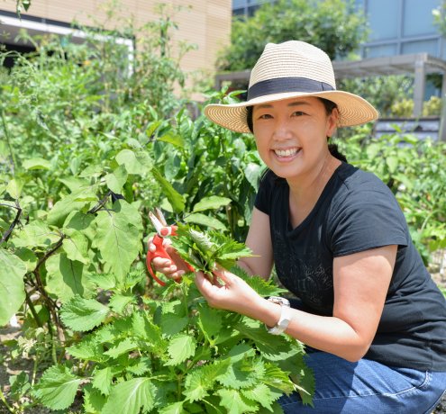 屋上菜園には珍しい40cmの深さがある土