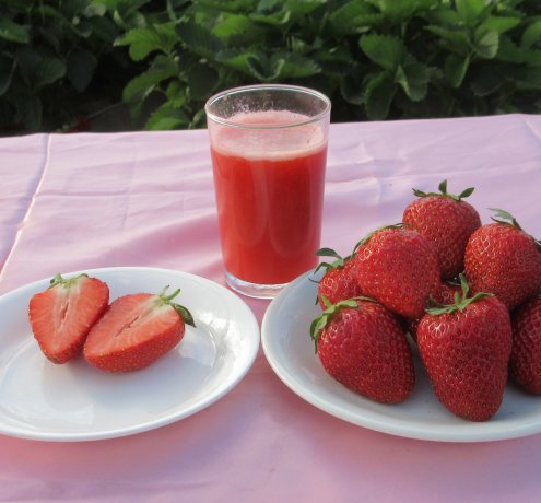 中まで赤い！　東京おひさまベリーの特徴は？