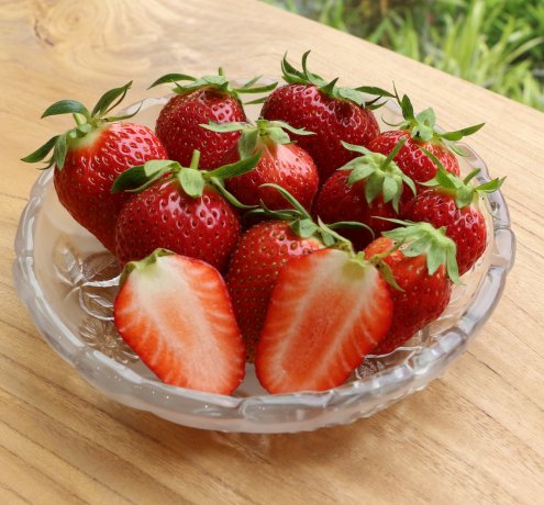 中まで赤い！　東京おひさまベリーの特徴は？