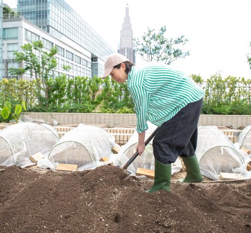 野菜を育てるならまずは土を作りましょう！