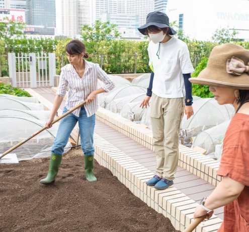 野菜を育てるならまずは土を作りましょう！
