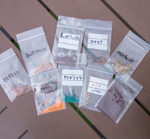 苗の植え付けと種まきはワクワクする作業！
