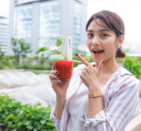 苗の植え付けと種まきはワクワクする作業！