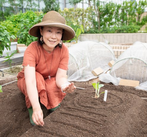 苗を植える時のポイントってどんなこと？