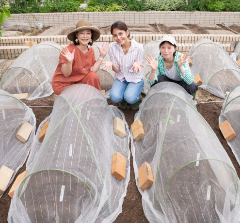 準備完了！　秋冬の畑はどうなっていくの？