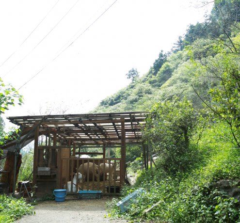 地元だからこそ地域へも溶け込みやすかった