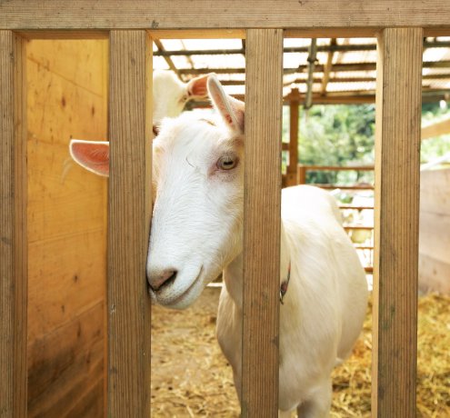 地元だからこそ地域へも溶け込みやすかった