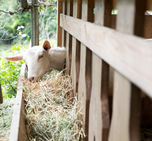地元だからこそ地域へも溶け込みやすかった