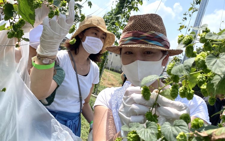 「出来立てのビールを瓶に詰めてプレゼント」