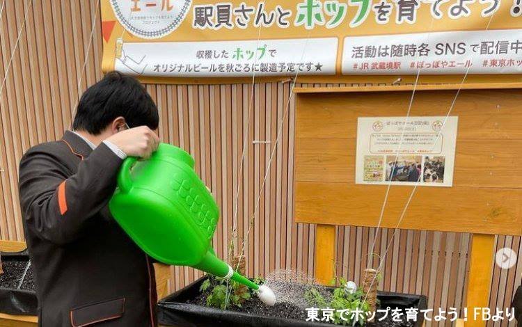 Content Image