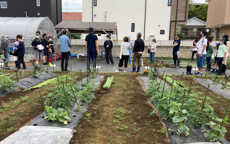 JA世田谷目黒「玉堤体験農園」