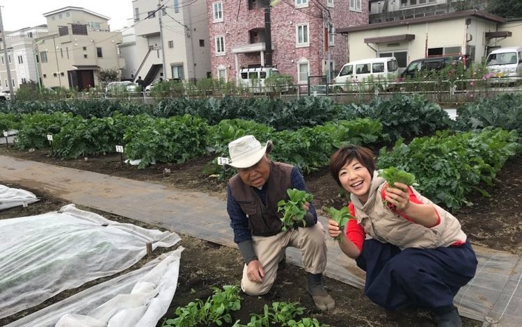 JA世田谷目黒「玉堤体験農園」