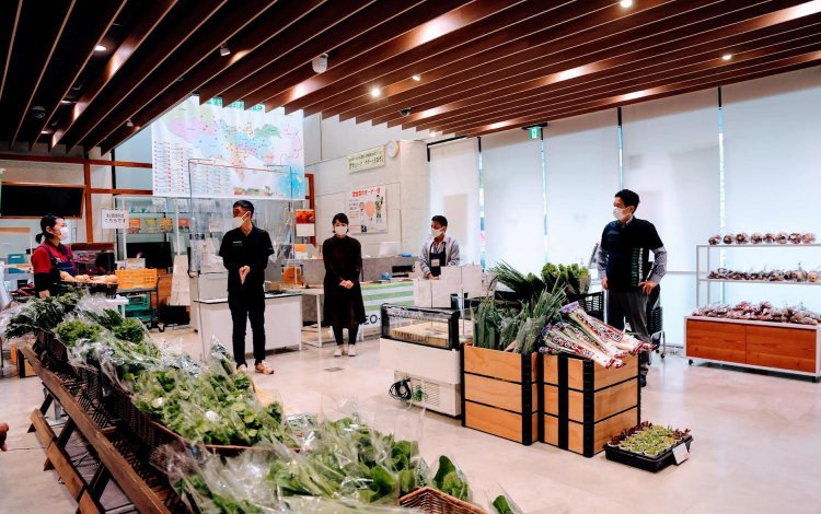 東京NEO-FARMERS！の普段の活動