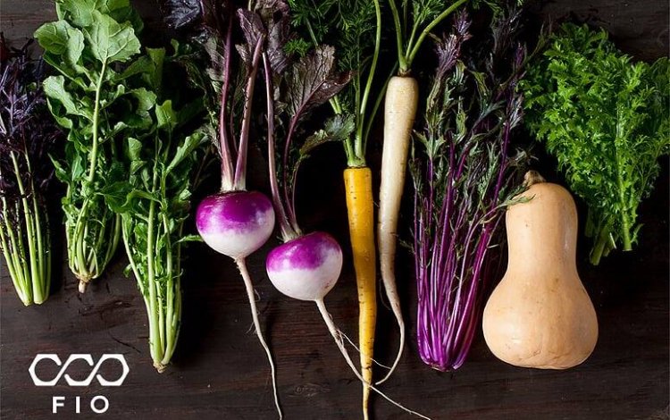  F I O「野菜セット」の直送