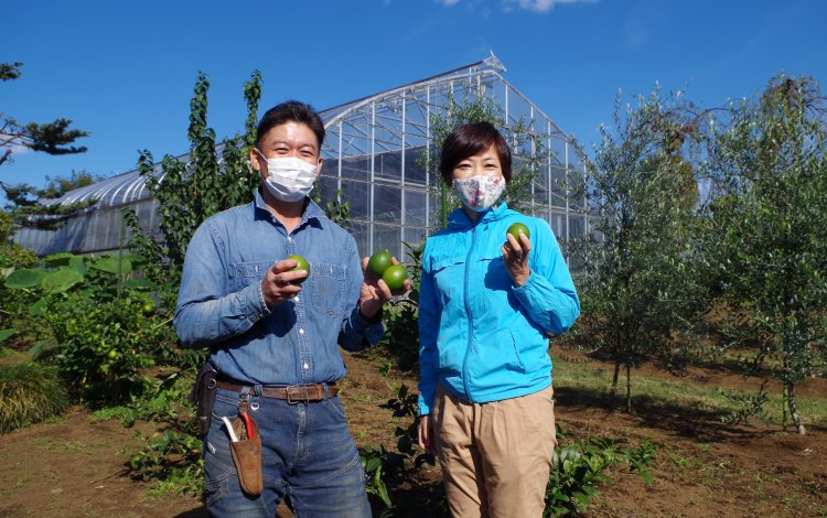 東京に「みどり」を届ける植木生産者は、約500軒