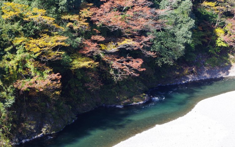 多摩川のビュースポットを通過し、登山口へ向かいます。