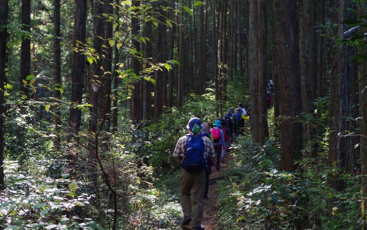 多摩川のビュースポットを通過し、登山口へ向かいます。