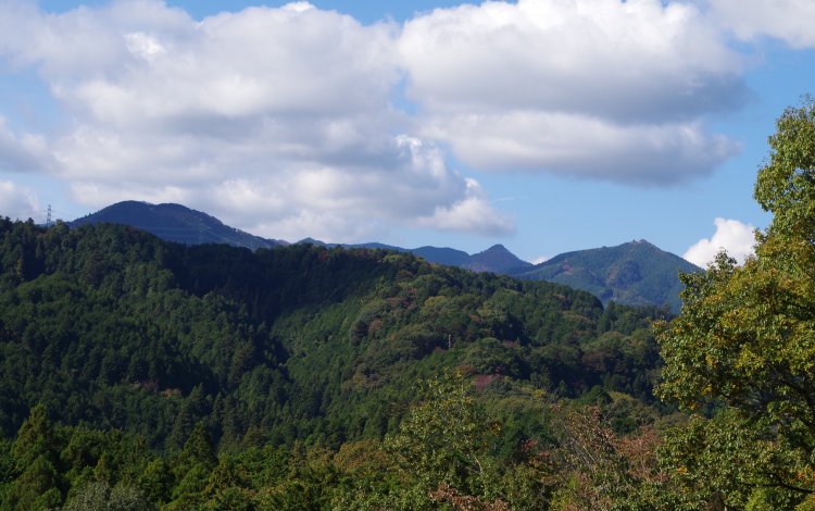 愛宕山分岐点にて