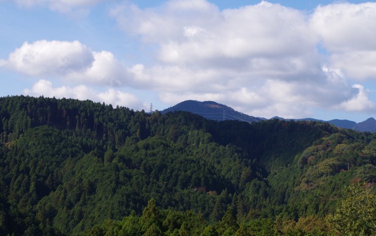 愛宕山分岐点にて