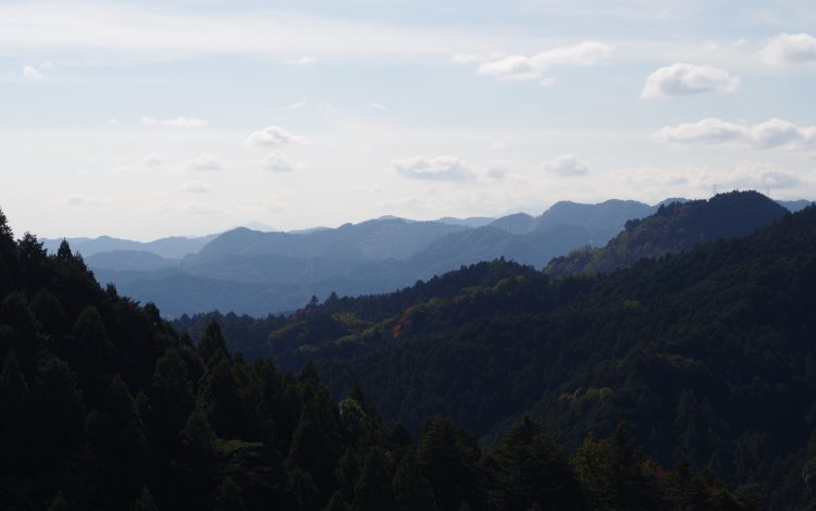 愛宕山分岐点にて