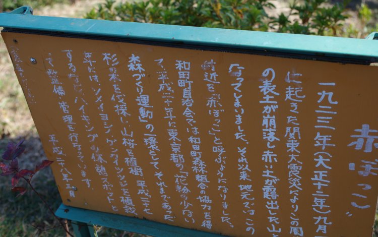 赤ぼっこ③