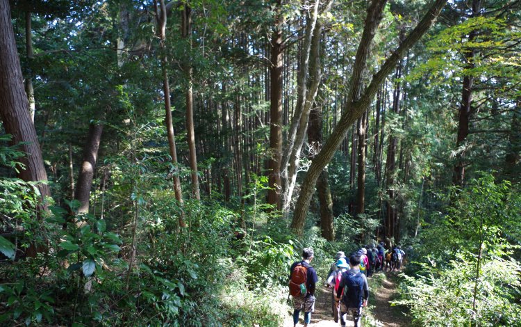 馬引沢峠から駒木町へ