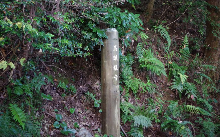 馬引沢峠から駒木町へ