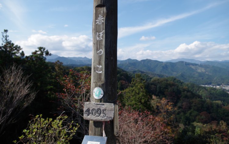 赤ぼっこ②