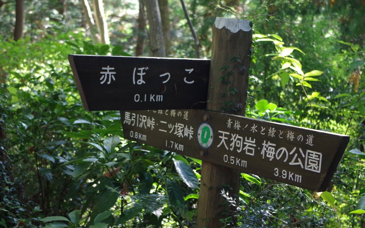 赤ぼっこ①