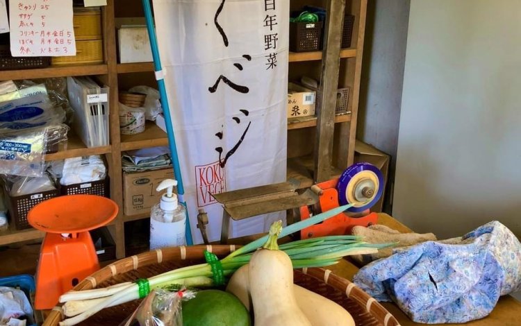 新鮮な野菜と一緒にこくベジ便が届けるもの
