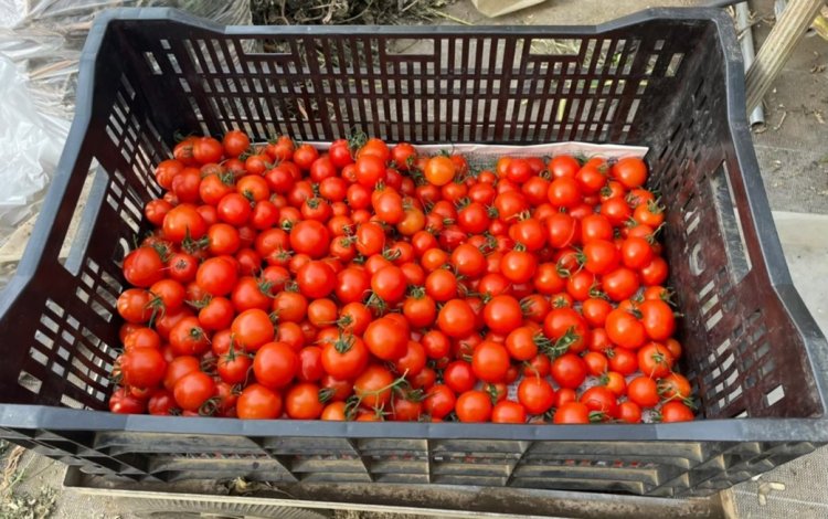 援農って何するの？素人でもできるの？