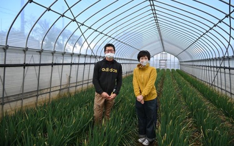  小さいけれどキラリと光る『都市農業ならではの彩り野菜から庭先販売まで』