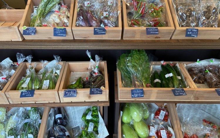 旬の野菜とおいしい加工品で食卓に彩りを