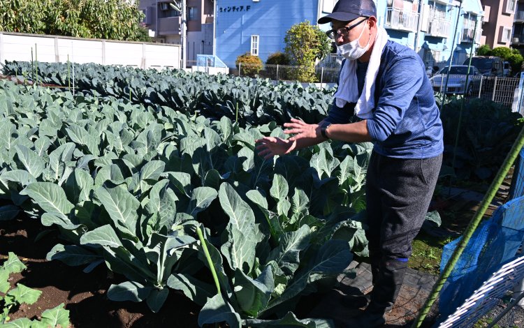 限られた農地で営農する工夫