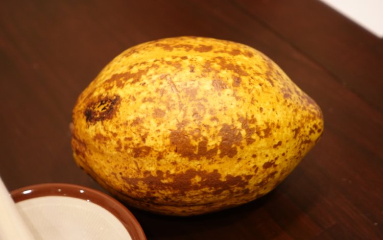 Content Image