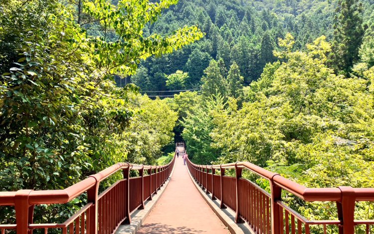 【周辺のお散歩スポット】