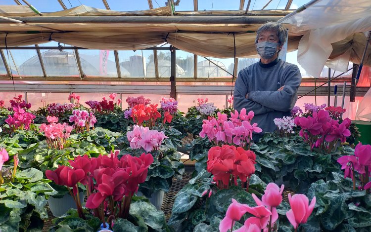 直売所情報まとめ