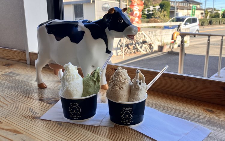 周辺のお散歩スポット