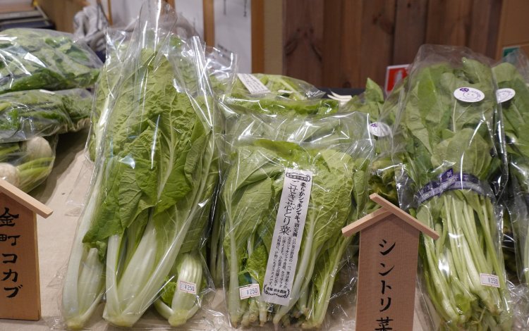 江戸東京野菜は、現在52種類。
