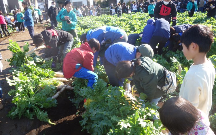 いよいよ畑に入って、競技スタート！